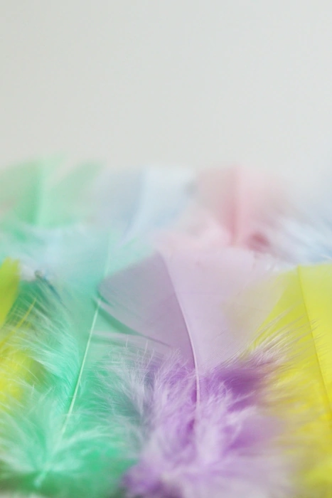 Many colorful feathers