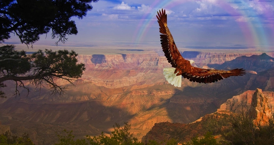 Хищная птица летит над каньоном