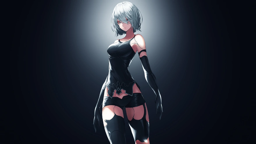 Anime girl is from the game NieR Automata