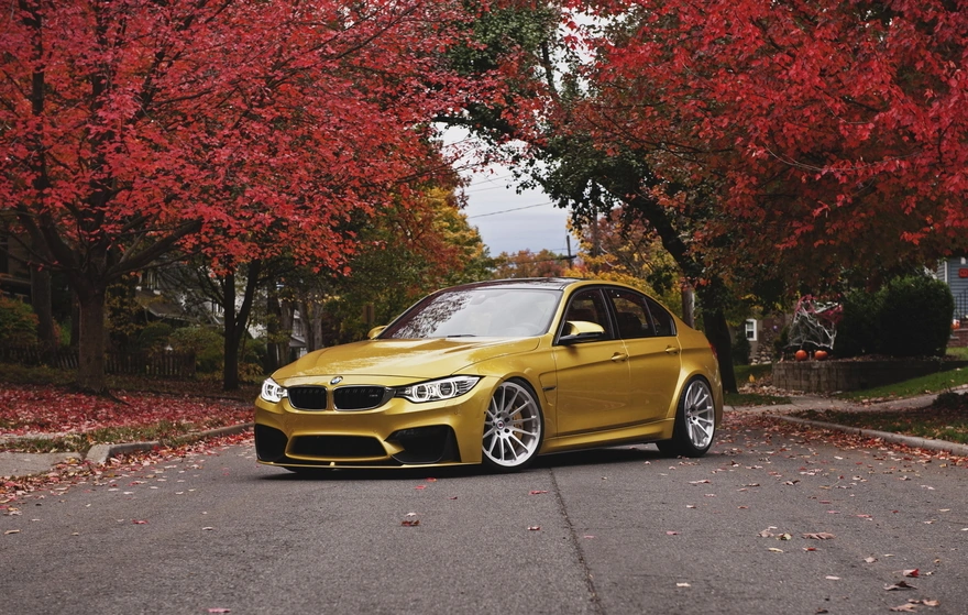 Золотистый BMW на фоне осени