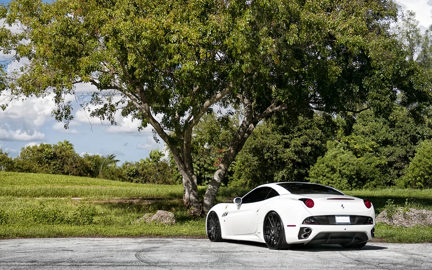 Белая Ferrari California стоит у дерева