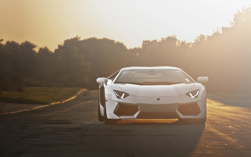 Белый суперкар Lamborghini Aventador стоит на дороге