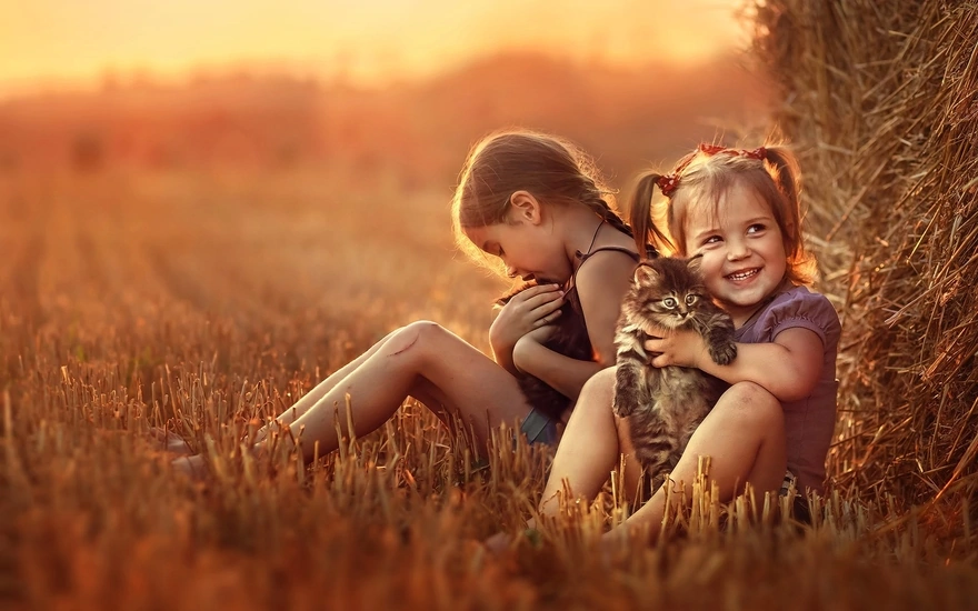 Две девочки в поле у стога сена гладят и обнимают котят