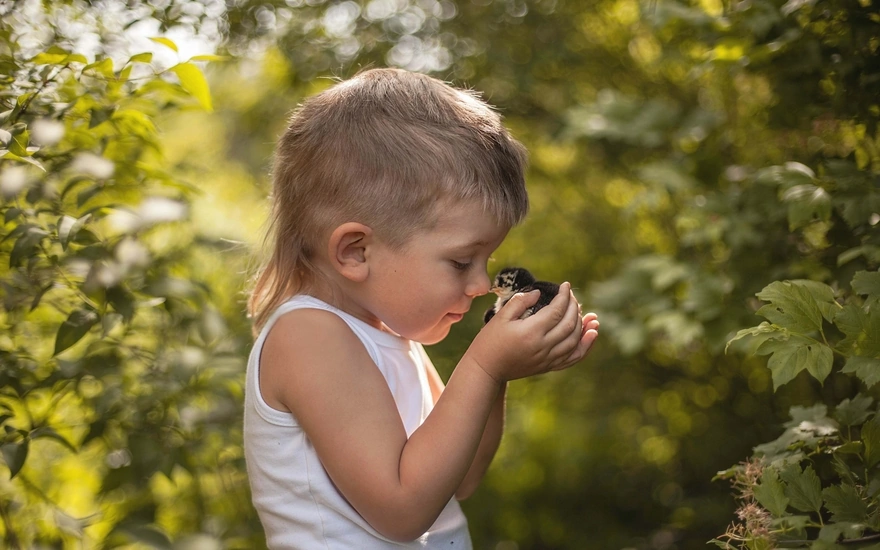 A boy holds a bird in her hand