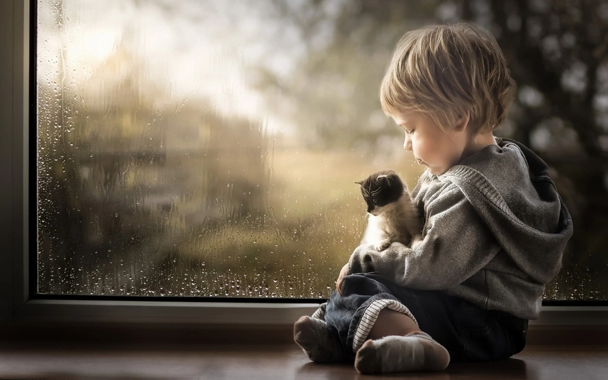 Little boy sitting at the window with a kitten