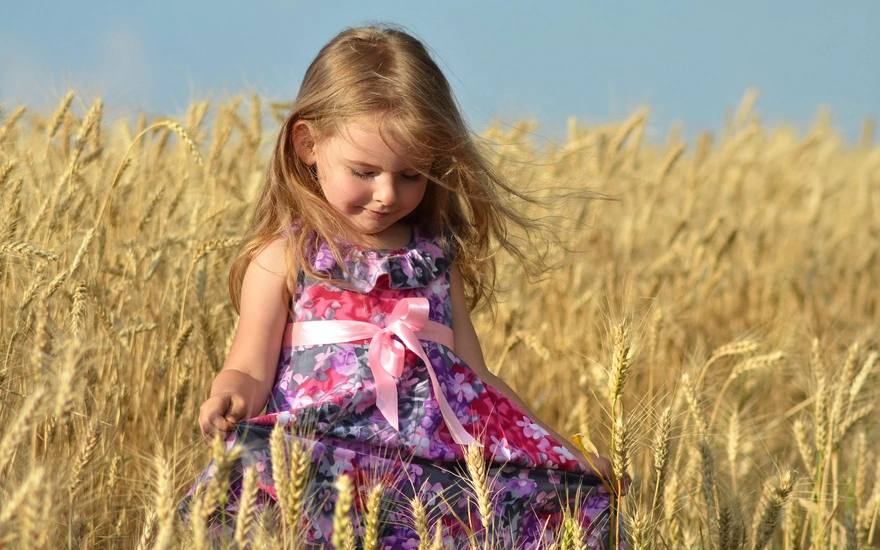 Маленькая девочка в красивом платье на пшеничном поле