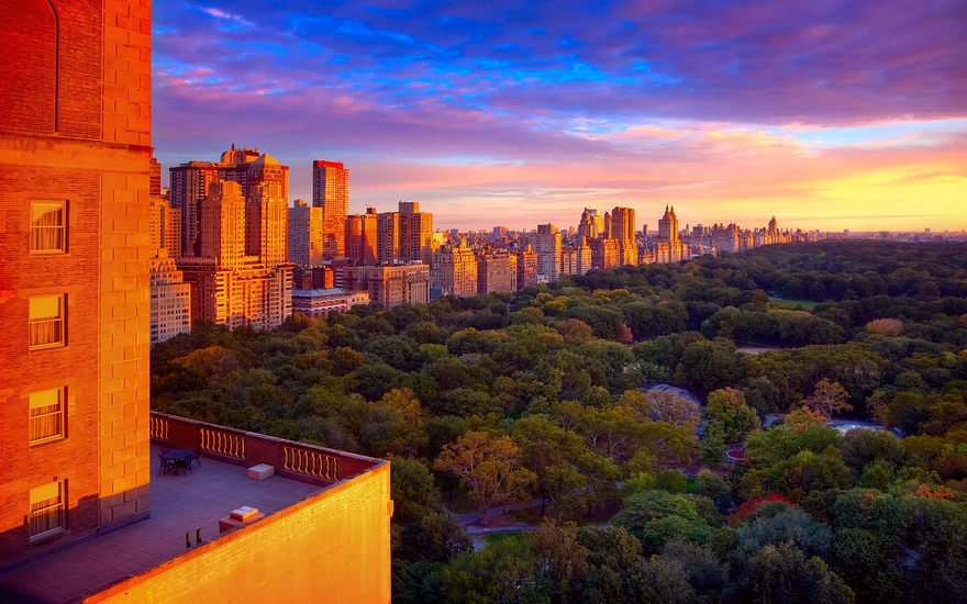 Central Park in new York city at dawn