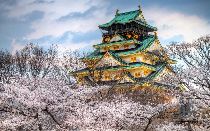 Замок в Осаке и цветущая сакура