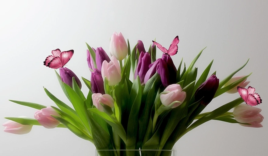 Three butterflies on a large bouquet of tulips