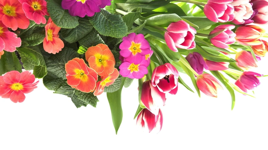 Букет цветов с тюльпанами