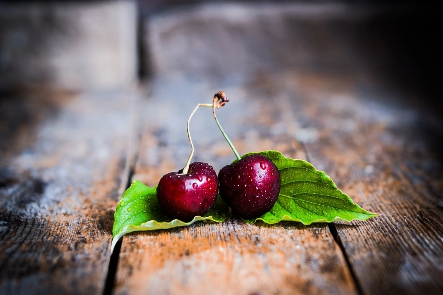 Two berries of sweet cherry in drops of water lie on the leaves