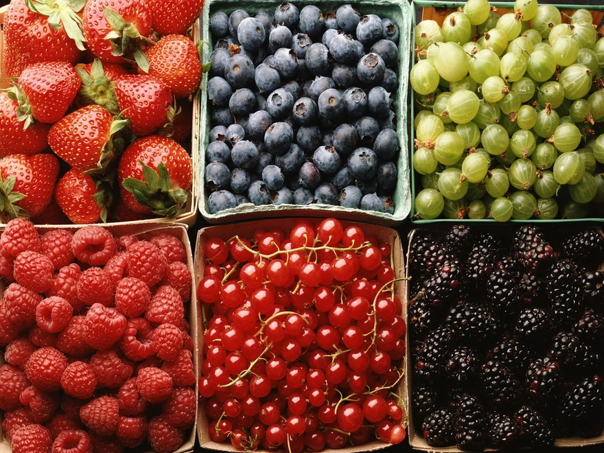 Six boxes with different berries