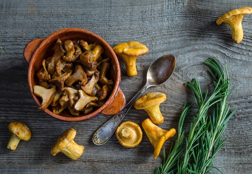 Baked mushrooms-chanterelles in a pot