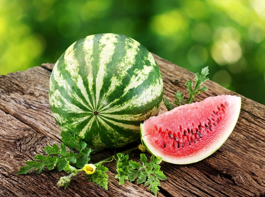 A large striped watermelon lies on the planks