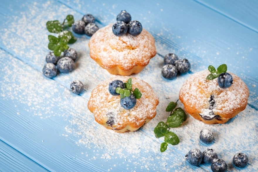 Muffins with blueberries, powdered sugar and sprigs of mint