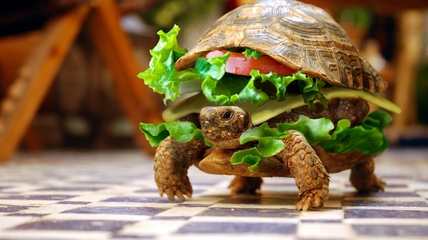Turtle cheeseburger
