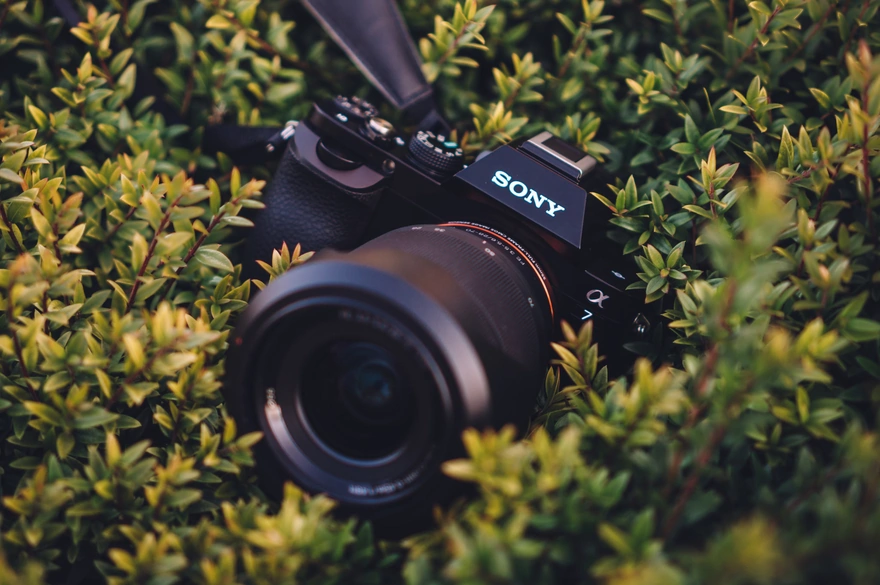 A Sony camera in the grass