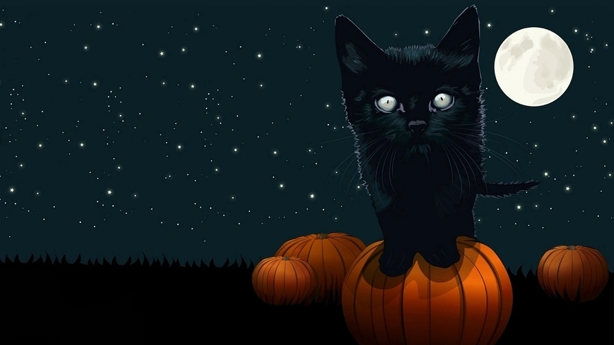 Halloween, хэллоуин, кот, ночь, луна, тыква