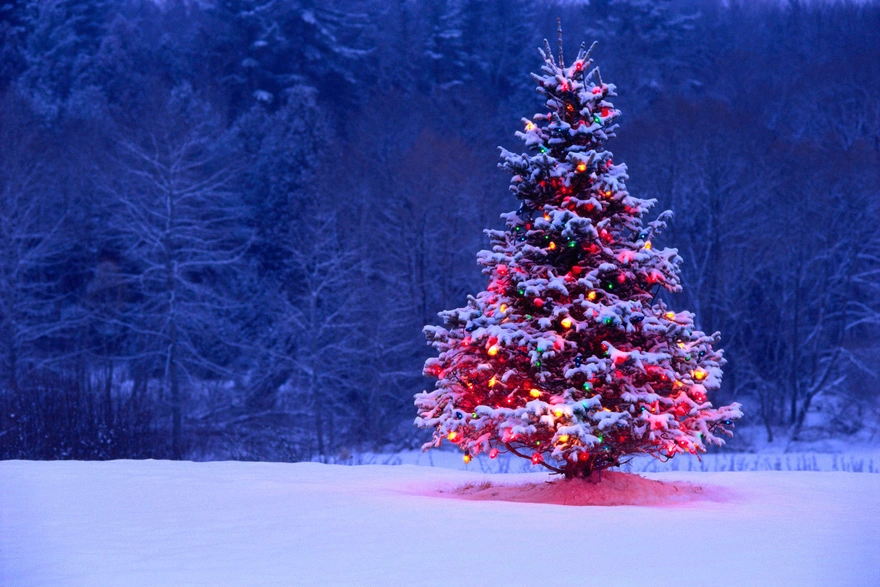 Christmas tree glowing lights