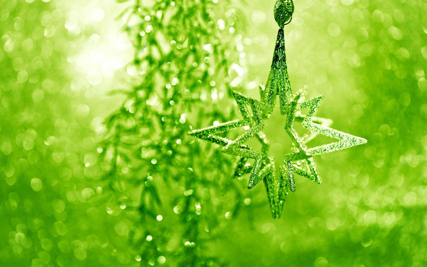 Green snowflake