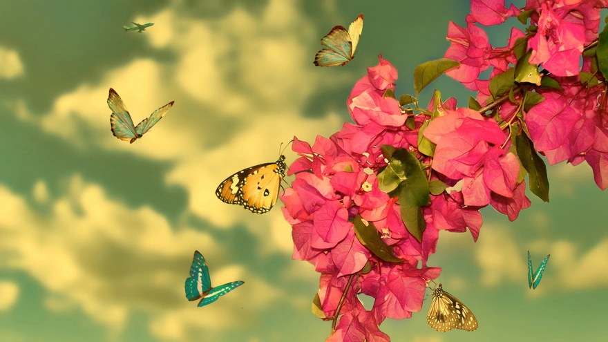 Множество бабочек у ветки с цветками