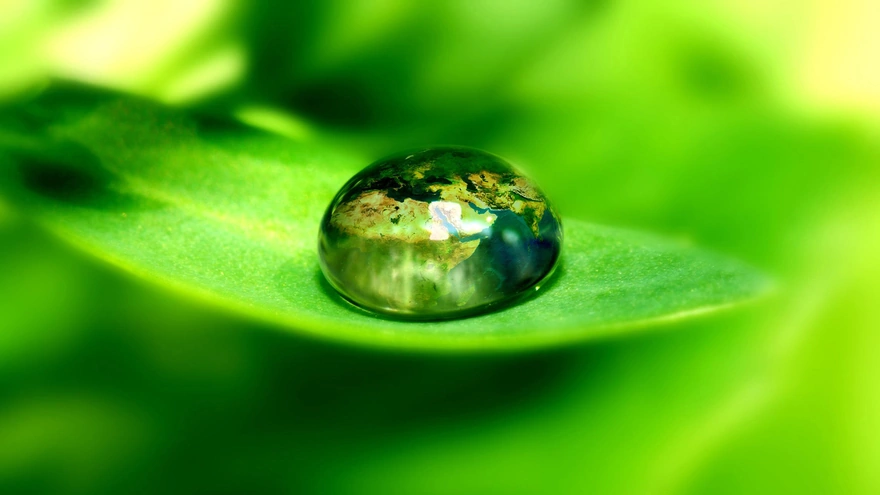 Drop on a green leaf
