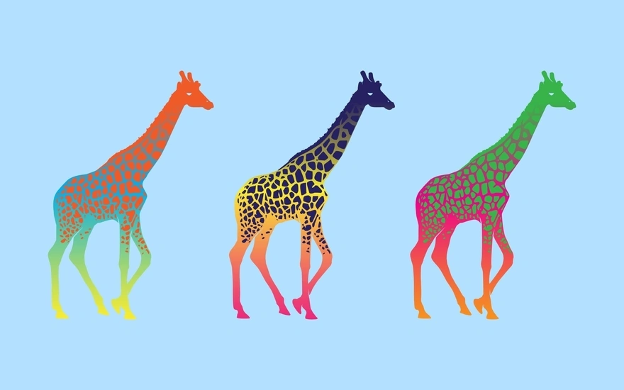 Three giraffe in pop art style
