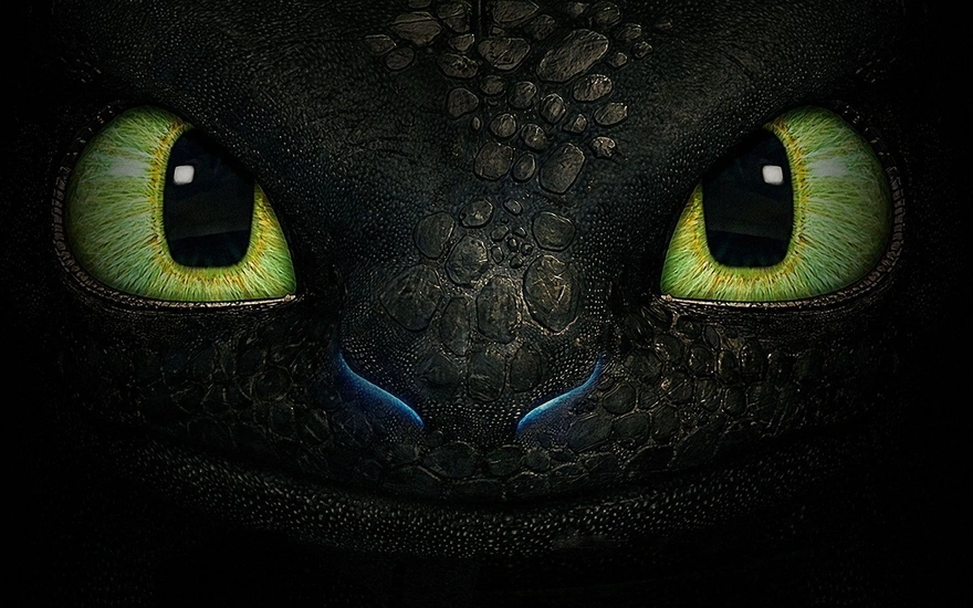 The eyes of Toothless from the movie How to train your dragon