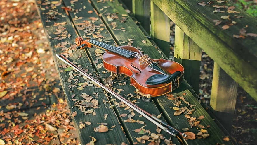 Скрипка и смычок одиноко лежат среди опавших листьев на скамейке