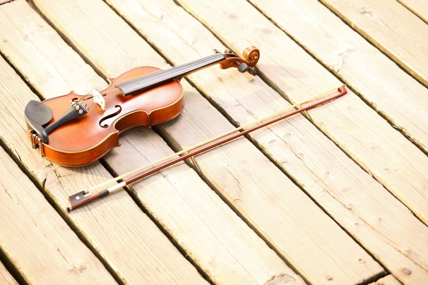 The violin and the bow