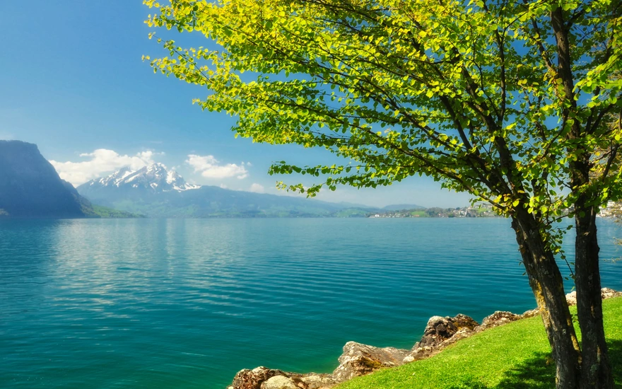 Картинка: Дерево, листва, голубое озеро, вода, горы, камни, небо, облака