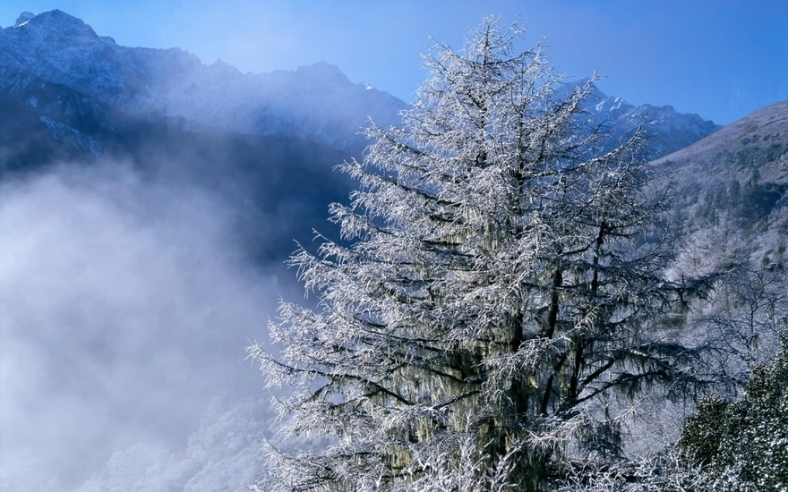 Невероятная красота зимней природы с видом на горы