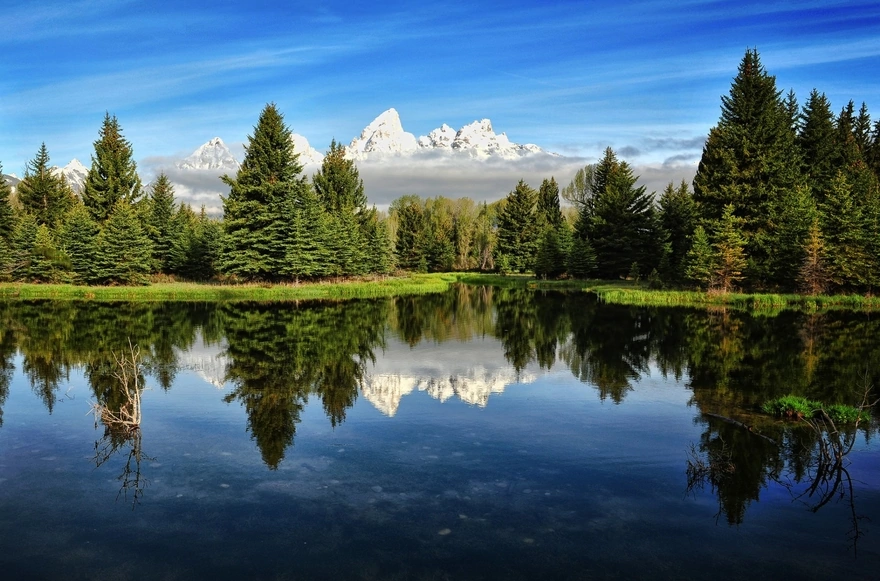 Beautiful reflection of a coniferous forest in the water