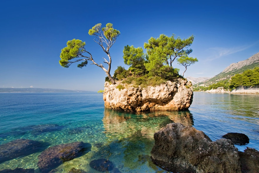 Картинка: Скала, деревья, море, вода, камни, небо