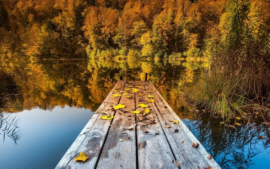 Мостик на берегу речки усыпанный жёлтыми листьями
