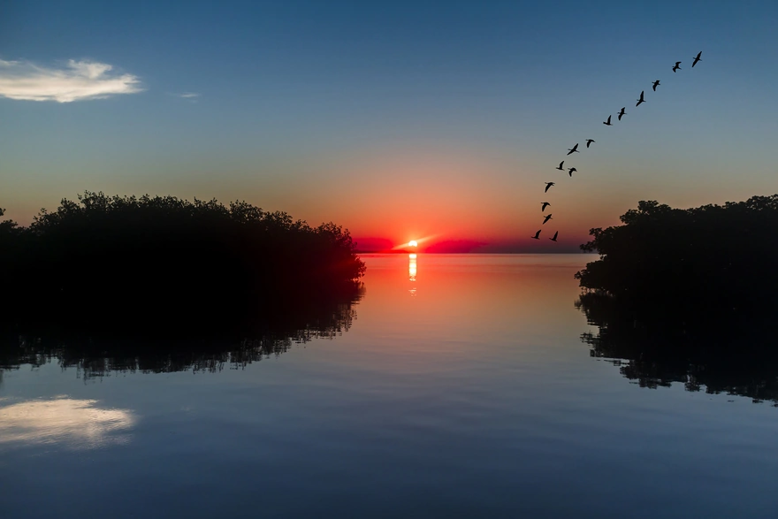 Красный закат и пролетающие птицы над озером
