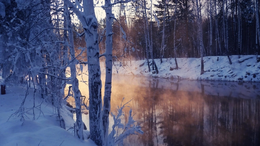 Деревья в снегу у озера