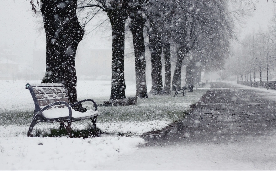 Image: Winter, park, snow, snowfall, snowflakes, road, bench, trees, grass, puddle