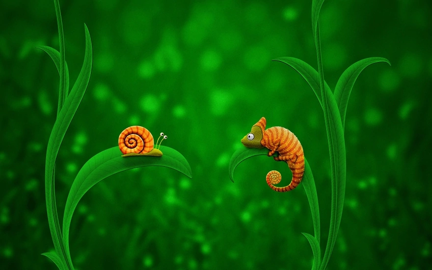 Meeting the snail and the chameleon