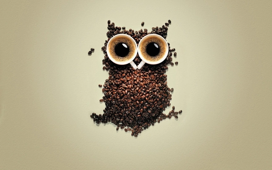 Owl with coffee beans