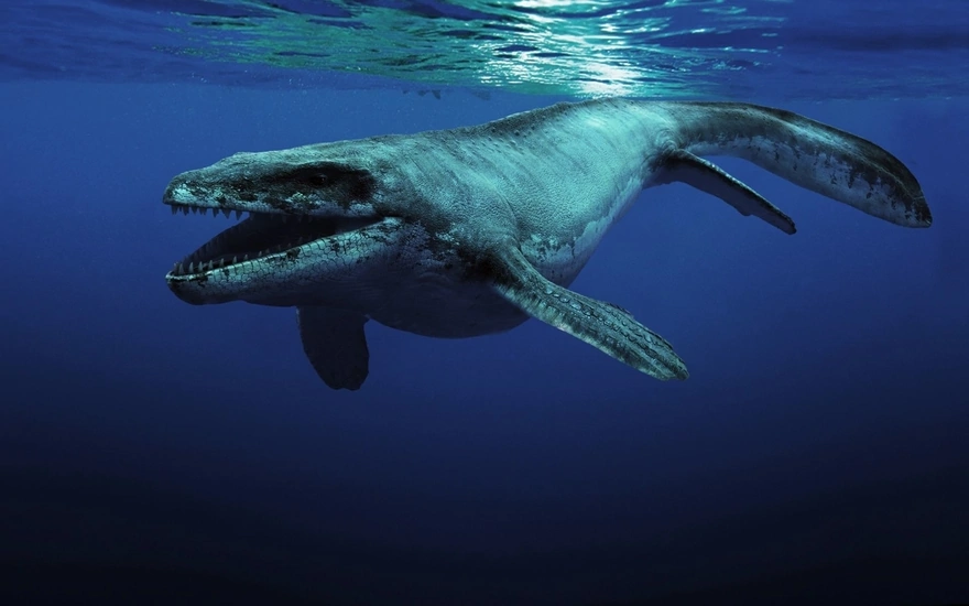 Морской хищник Мозазавр - обитавший миллионы лет назад в эпоху мезозойской эры. Самый страшнейший хищник живший когда либо на земле