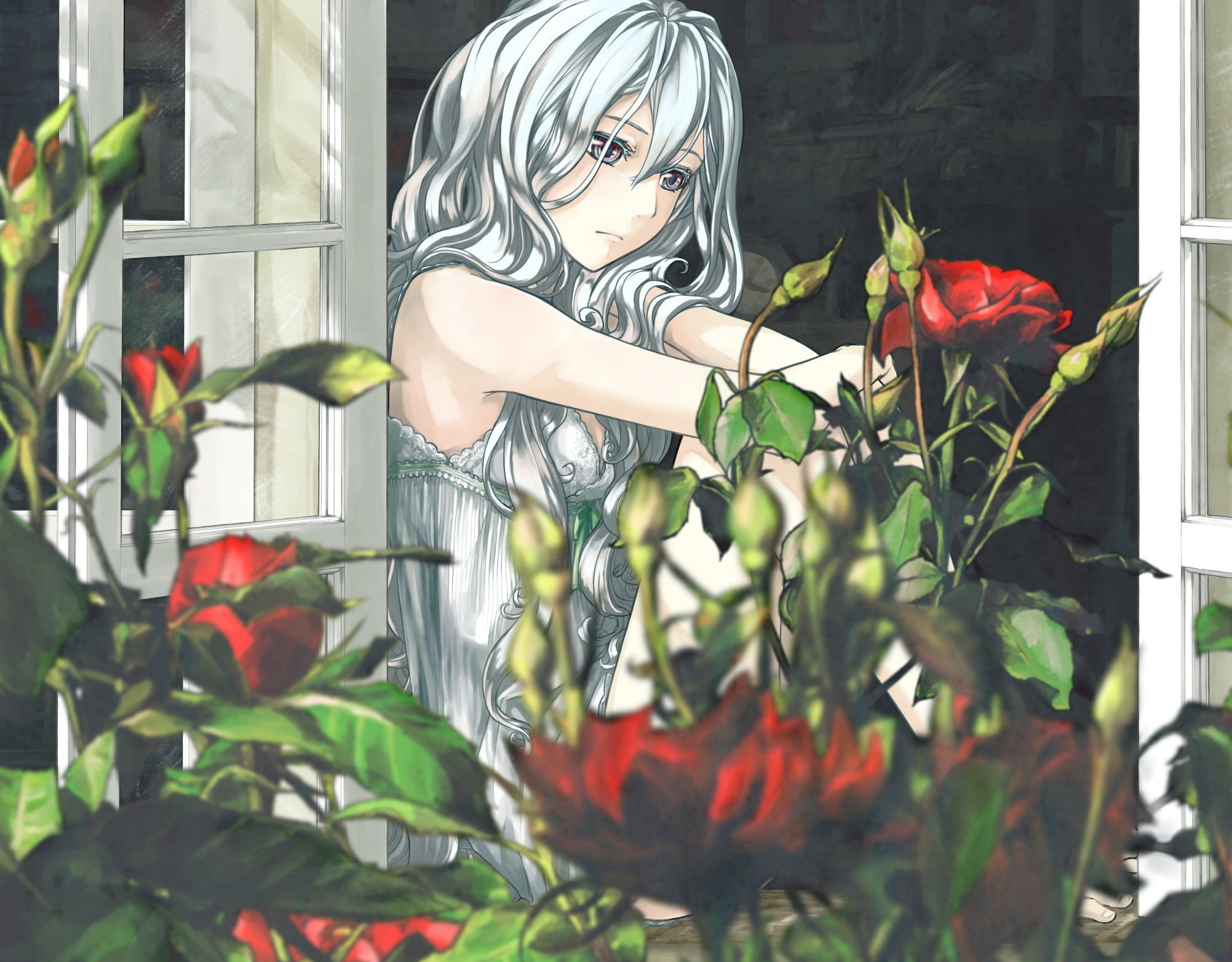 Картинка: Девушка, беловолосая, розы, окно, сидит, грусть