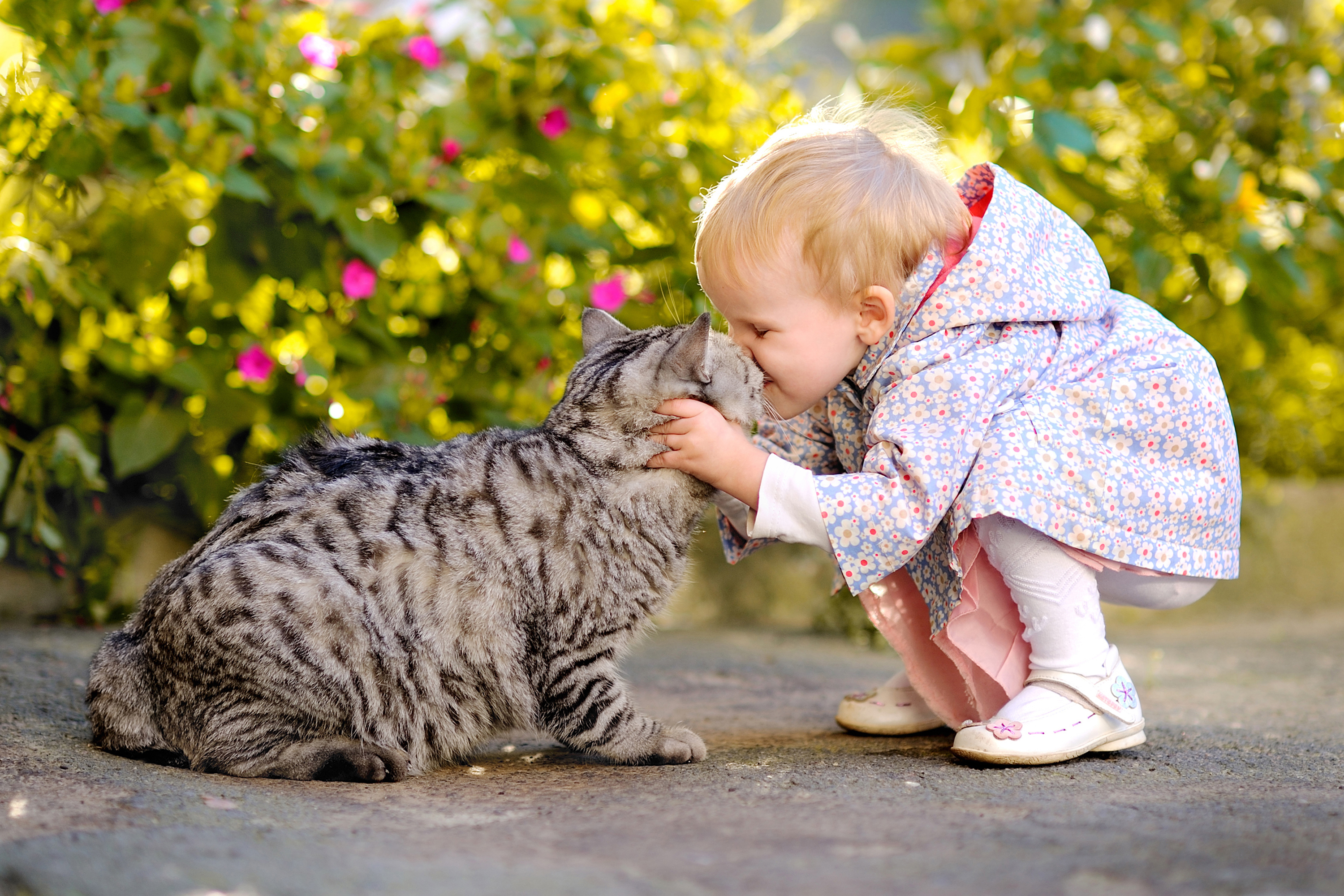 Картинка: Маленькая девочка, ребёнок, кошка, поцелуй, ласка