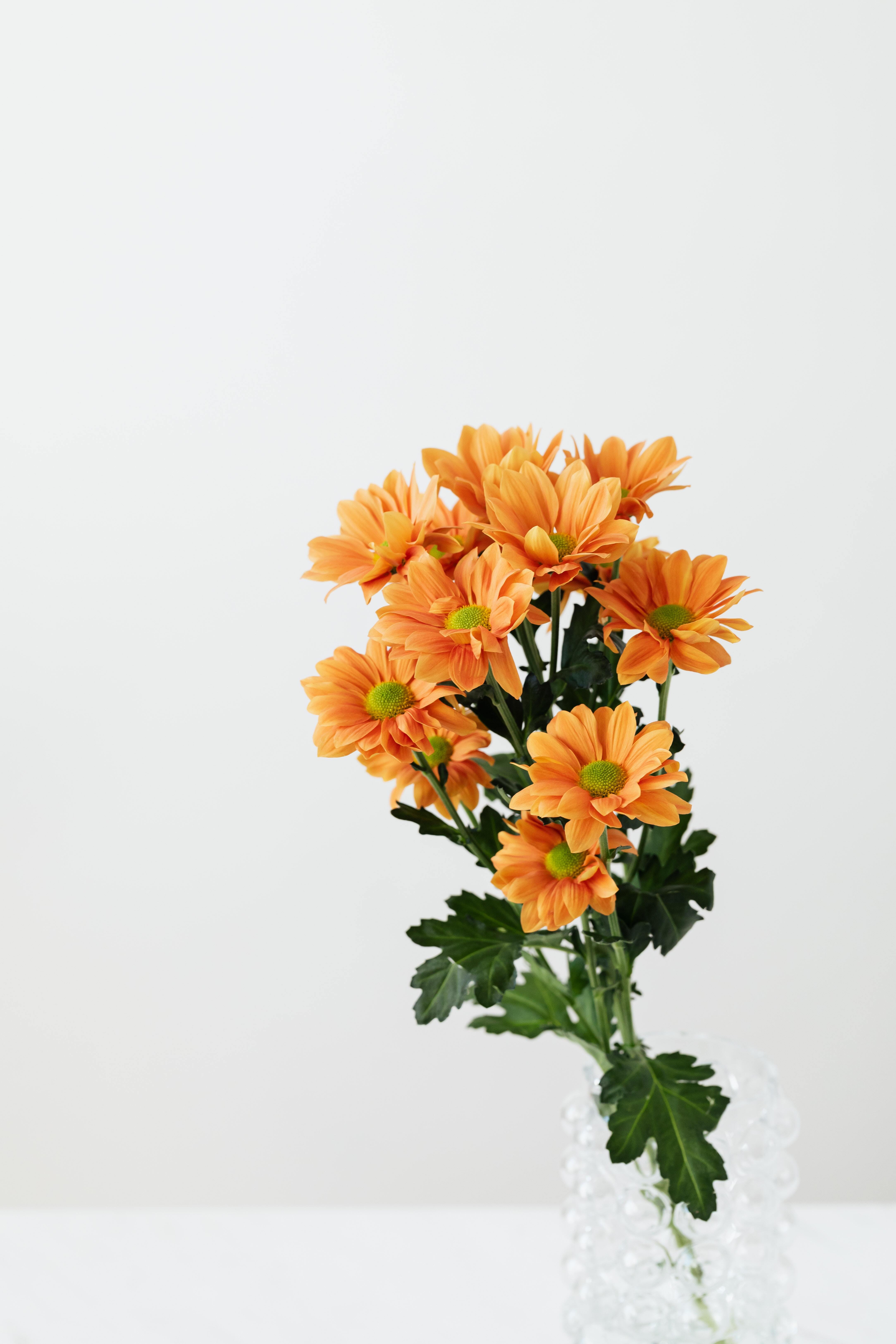 Image: Flowers, bouquet, vase, light background