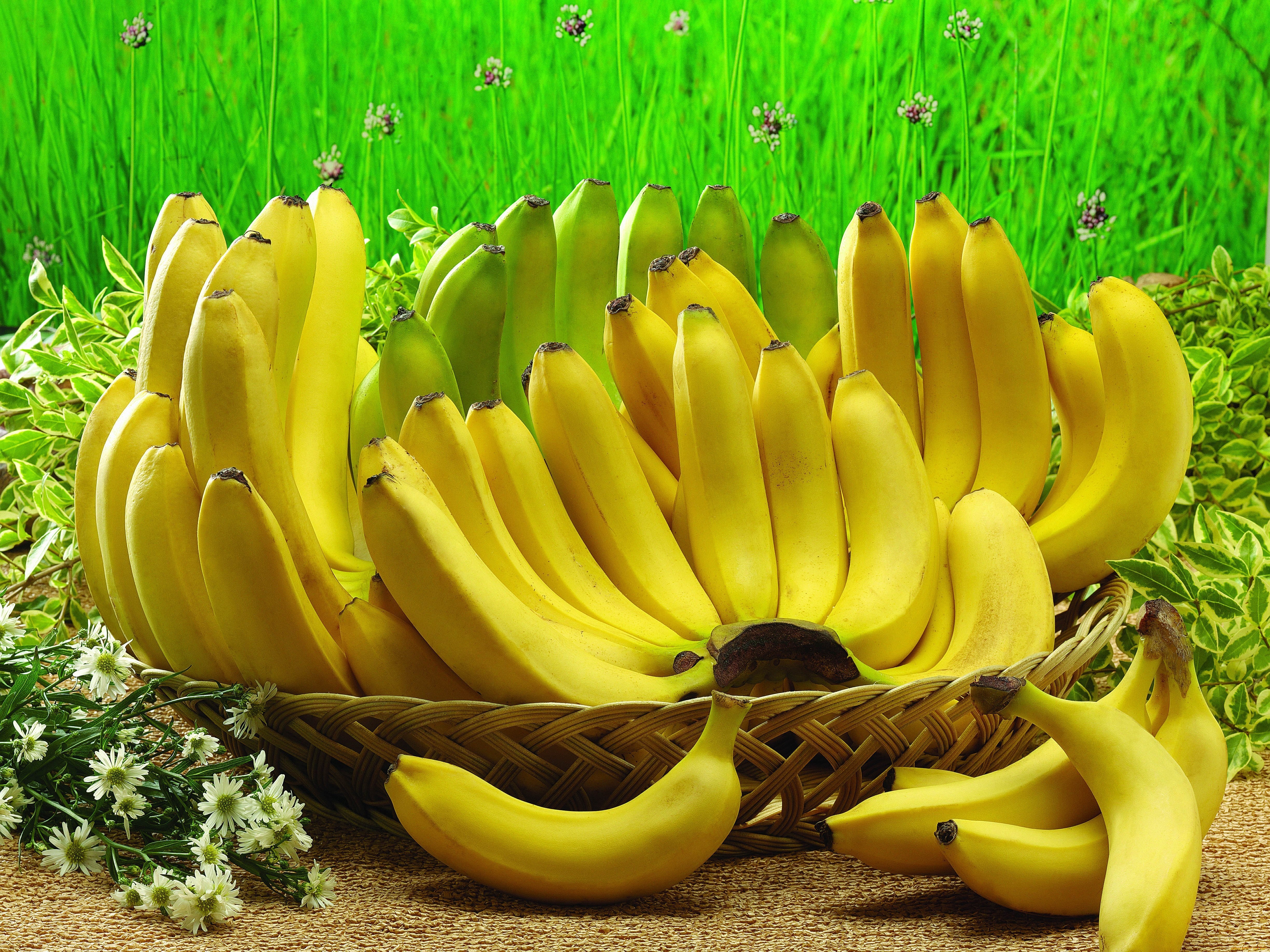 Image: Bananas, fruits, basket, lie, yellow, grass, chamomile, flowers