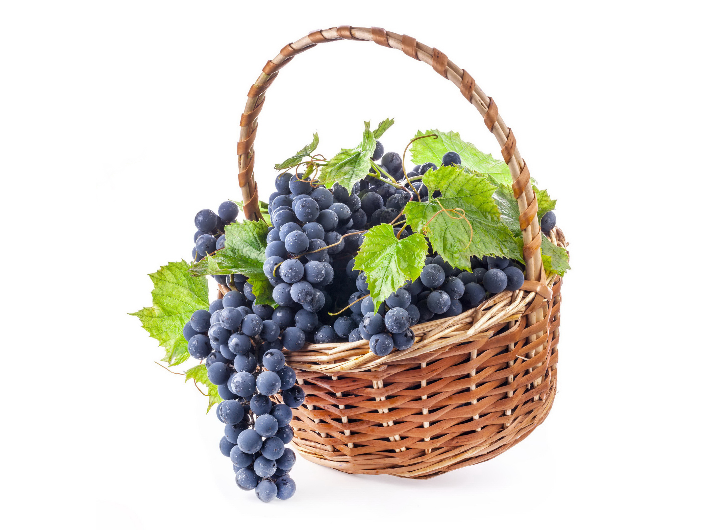 Картинка: Виноград, лоза, гроздья, листья, корзинка, белый фон