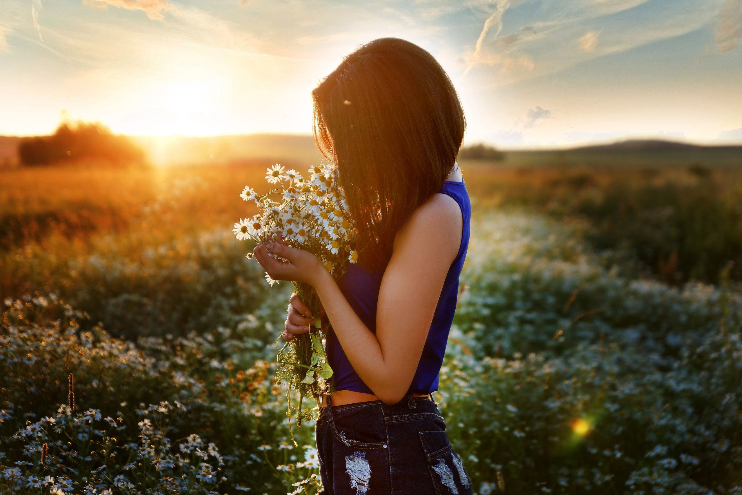 Картинка: Девушка, ромашки, цветы, поле, закат