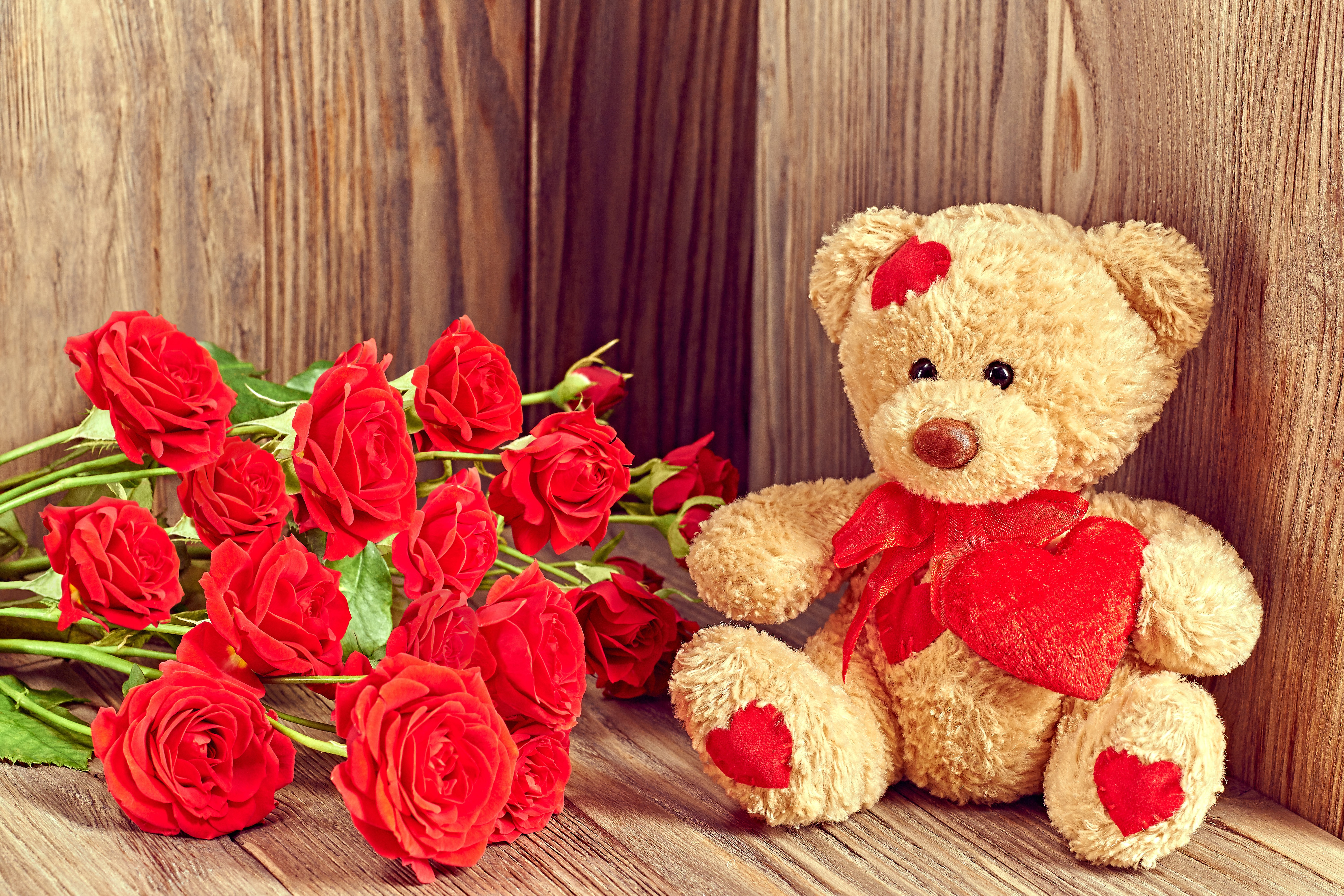 Image: Teddy, bear, toy, soft, roses, flowers, red, heart, ribbon, Valentine's Day, love