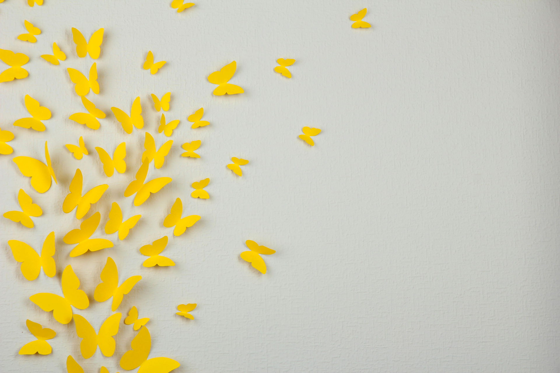 Image: Butterfly, yellow, paper, gray background