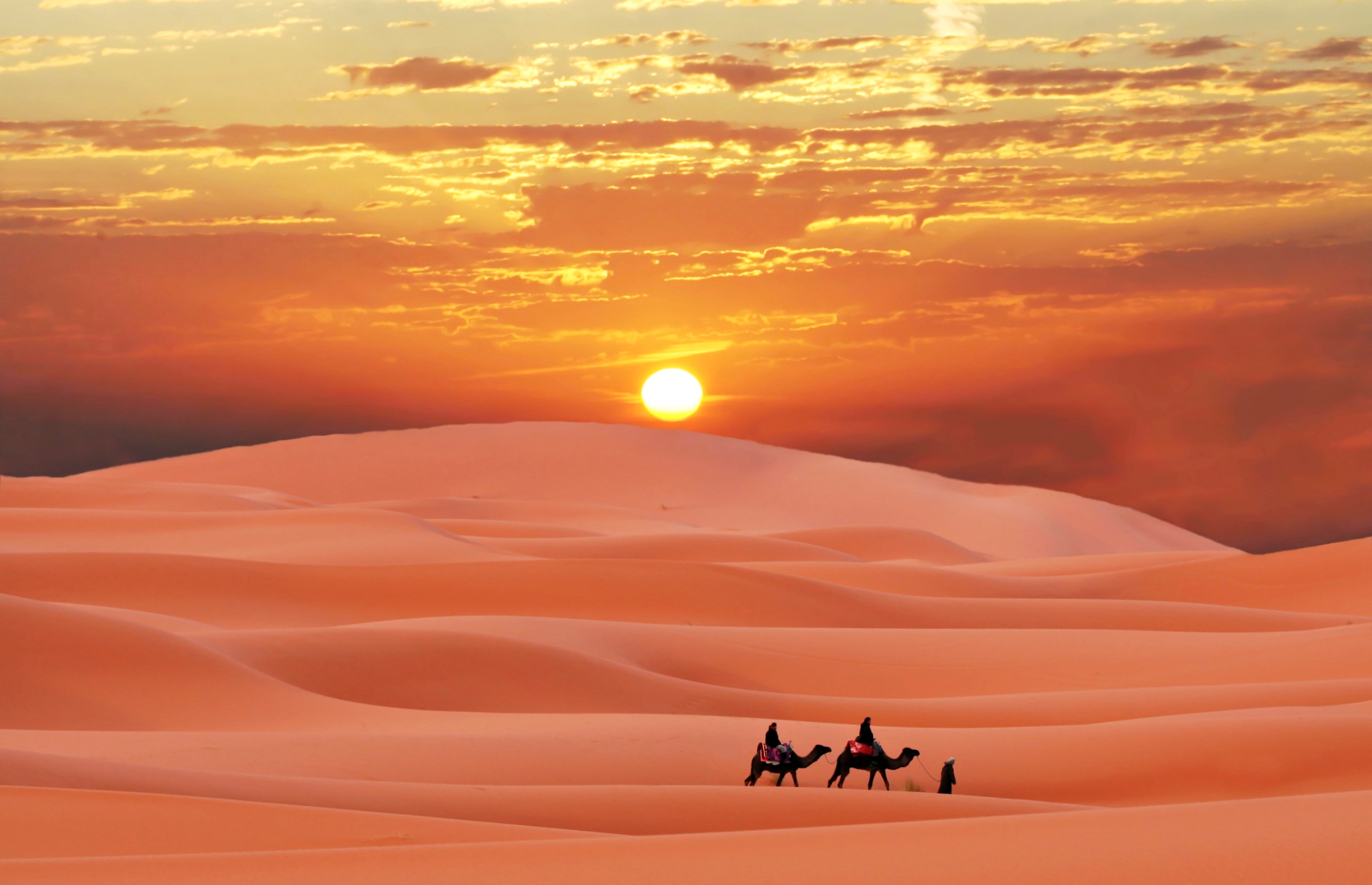 Картинка: Пустыня, пески, дюна, барханы, закат, небо, верблюды, всадники